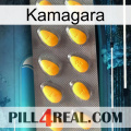 Kamagara cialis1